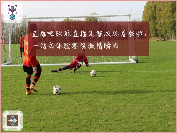 直播吧欧冠直播完整版观看教程,一站式体验赛场激情瞬间